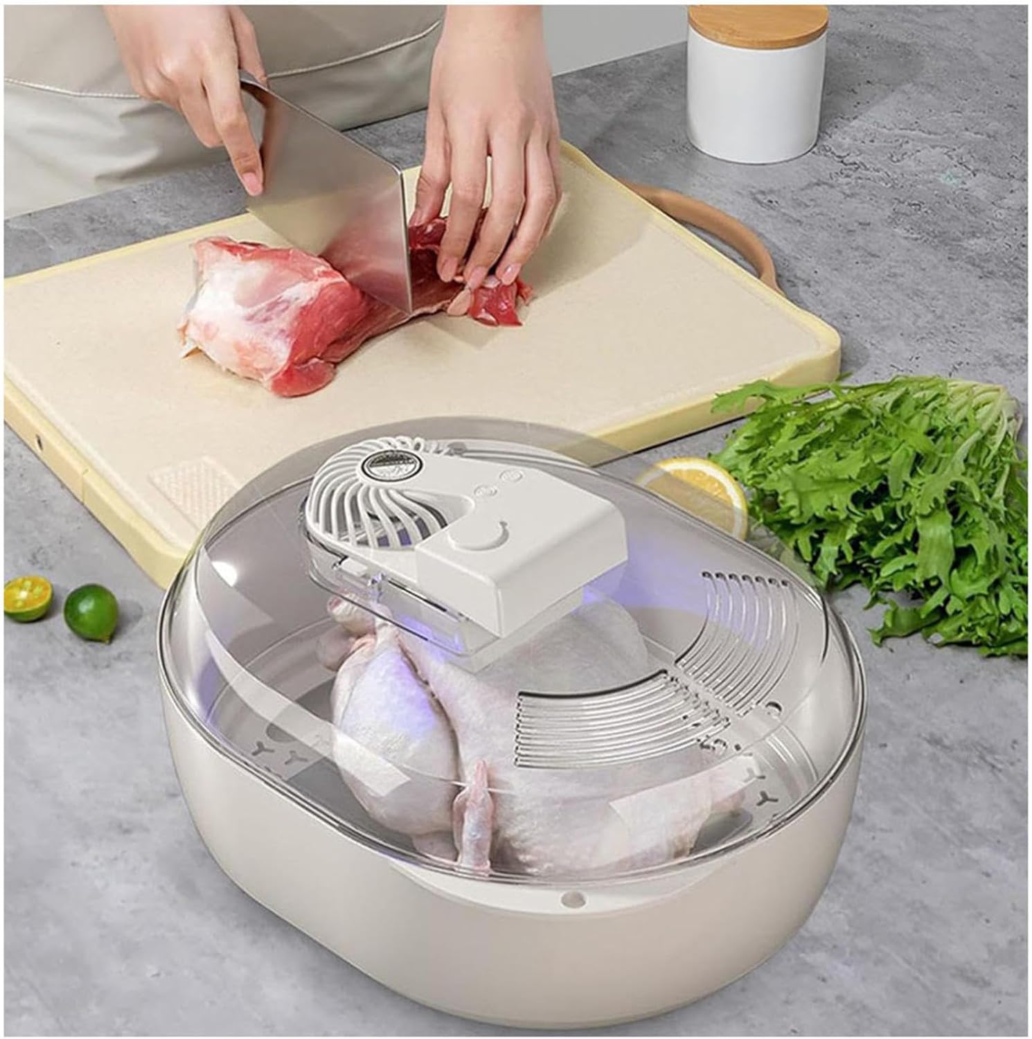 Meat Defroasting Machine